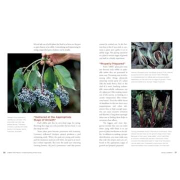 Edible Wild Plants – Explore Wild Foods Expertly