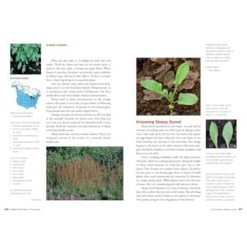 Edible Wild Plants – Explore Wild Foods Expertly