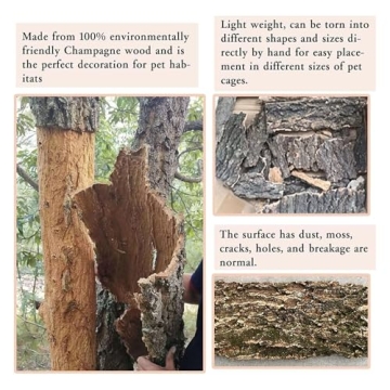 Natural Cork Bark Backgrounds for Reptile Habitats