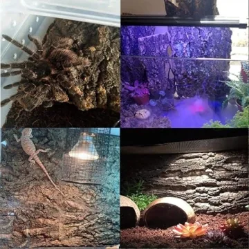 Natural Cork Bark Backgrounds for Reptile Habitats