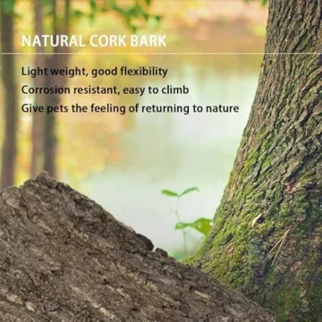 Natural Cork Bark Backgrounds for Reptile Habitats