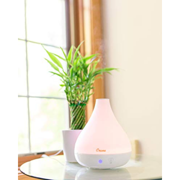 Crane Ultrasonic Humidifier and Essential Oil Diffuser