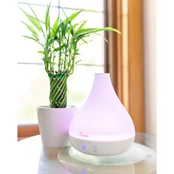 Crane Ultrasonic Humidifier and Essential Oil Diffuser