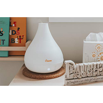 Crane Ultrasonic Humidifier and Essential Oil Diffuser