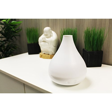 Crane Ultrasonic Humidifier and Essential Oil Diffuser