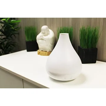 Crane Ultrasonic Humidifier and Essential Oil Diffuser