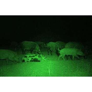 Ulako Single Mode Green Light Flashlight for Hunting