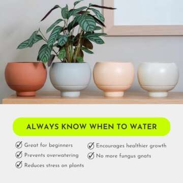 Stylish Sutton Self-Watering Planter Pot for Healthy Plants