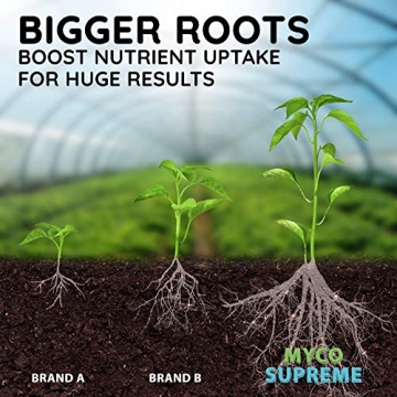 Ultra Concentrated Mycorrhizae for Strong Plant Roots