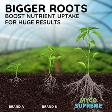 Ultra Concentrated Mycorrhizae for Strong Plant Roots