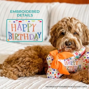 Haute Diggity Dog Happy Birthday Bone Plush Toy