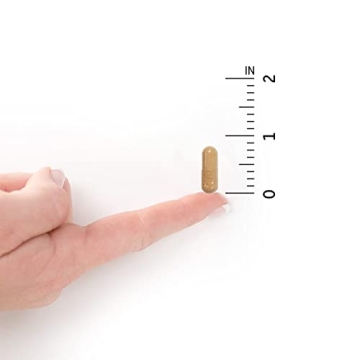 Garden of Life Prenatal Multivitamin with Probiotics & Iron