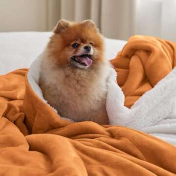 Bedsure Sherpa Fleece Throw Blanket for Couch - Thick and Warm, Soft Fuzzy Plush Throw Blanket for W...