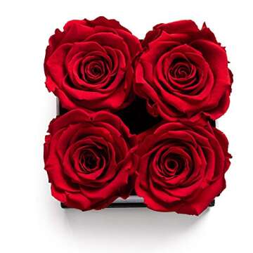 Soho Floral Arts | Roses in A Box | Genuine Roses that Last for Years (White Square 4ct, Red) | Moth...
