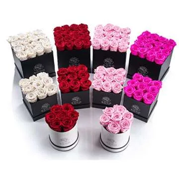 Soho Floral Arts | Roses in A Box | Genuine Roses that Last for Years (White Square 4ct, Red) | Mothers Day Gifts