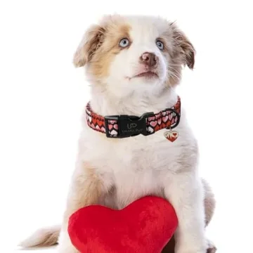 UP URARA PUP Stylish Pink Heart Dog Collar for Pets