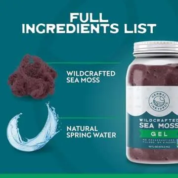 Herbal Vineyards Wildcrafted Irish Purple Sea Moss Gel - Made with Dried Seaweed & Fresh Sea Vegetables, Seamoss - Made in USA