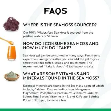 Herbal Vineyards Wildcrafted Irish Purple Sea Moss Gel - Made with Dried Seaweed & Fresh Sea Vegetables, Seamoss - Made in USA