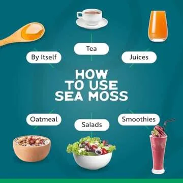 Herbal Vineyards Wildcrafted Irish Purple Sea Moss Gel - Made with Dried Seaweed & Fresh Sea Vegetables, Seamoss - Made in USA