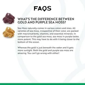 Herbal Vineyards Wildcrafted Irish Purple Sea Moss Gel - Made with Dried Seaweed & Fresh Sea Vegetables, Seamoss - Made in USA