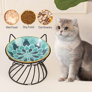 Raised Ceramic Cat Food Bowl - Elevated Cat Dish with Anti Slip Stand - Wide Shallow Cat Bowl Whisker Friendly - Cute Cat Plate - Cat Feeding Bowls - Microwave and Dishwasher Safe - 8.5 oz - 5.75 inch