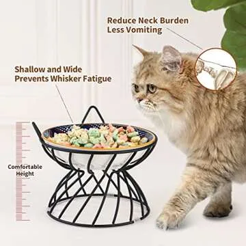 Raised Ceramic Cat Food Bowl - Elevated Cat Dish with Anti Slip Stand - Wide Shallow Cat Bowl Whisker Friendly - Cute Cat Plate - Cat Feeding Bowls - Microwave and Dishwasher Safe - 8.5 oz - 5.75 inch