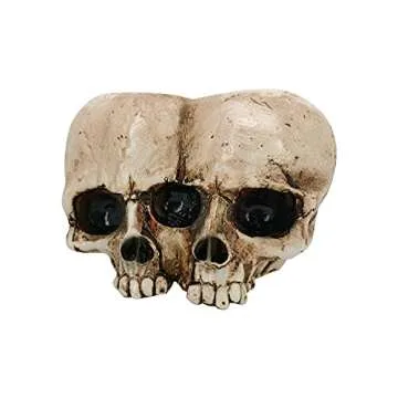 Unique Skull Planter Pots for Indoor and Outdoor Decor