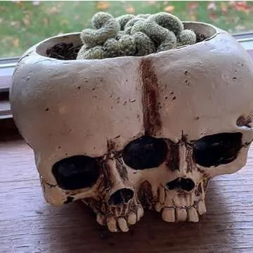 Unique Skull Planter Pots for Indoor and Outdoor Decor