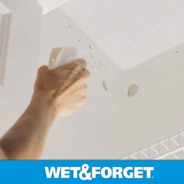 Wet & Forget Indoor All-Purpose Cleaner 64 Fl. Oz.