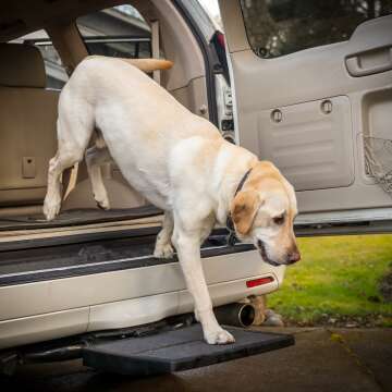 Portable Lightweight Dog Ramp for Easy Car Access - Made in USA