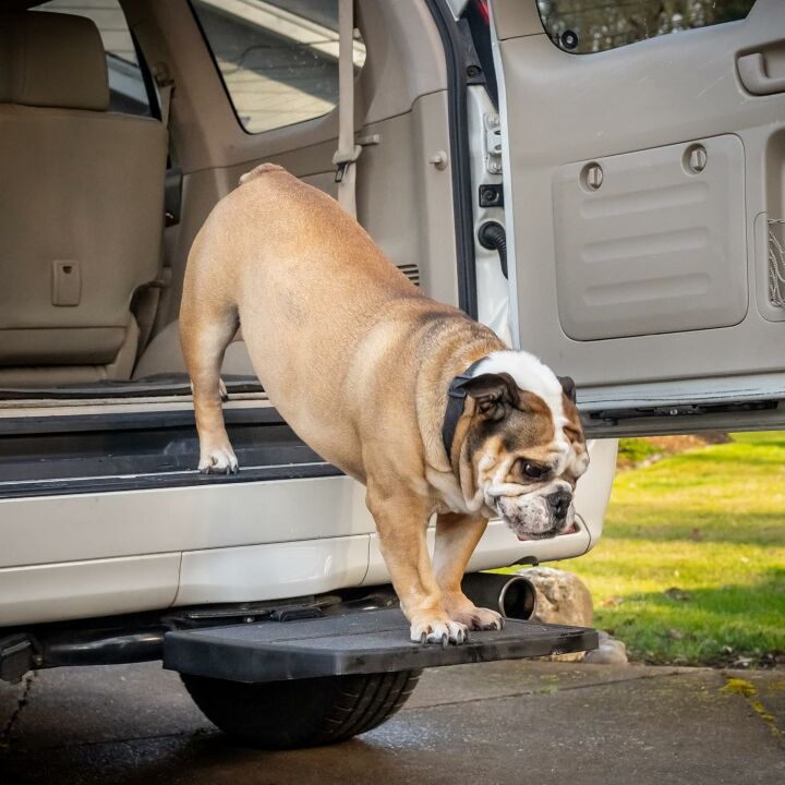 Easy-to-Use Dog Ramp for Cars & SUVs - Made in USA