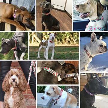 Blueberry Pet Floral Rose Turquoise Dog Collar - Cute Girl Dog Collars for Medium Dogs, Large Girl Dog Collars, Adjustable Collar for Dogs, Medium Female Dog Collar, Neck 18-26"