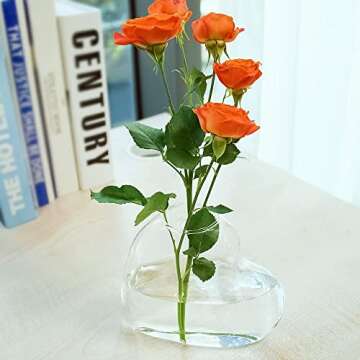 Ivolador 2PCS Heart Shaped Glass Plant Terrarium Containers