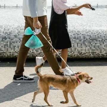 YUCHIYA Poop Bags Clips for Leashes Silicon Dog Poop Bag Holder Dispenser Hands-free Poop Bag Holders for Leashes Dog Walking Accessories Dog Leash Attachment for Hanging Used Dog Waste Bags(Panda)