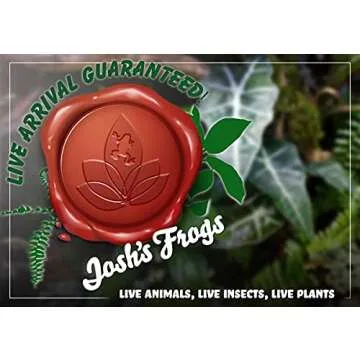 Clean AIR Houseplant Multi-Pack Gift Collection with Eco-Friendly Rice Hull Pots (3 Plants)