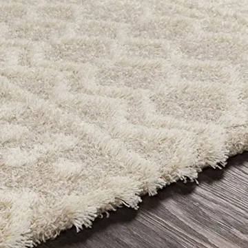 Livabliss Moroccan Shag Area Rug for Modern Homes