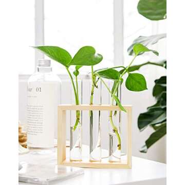 Mkono Plant Propagation Planter - Elegant Glass Tubes and Wood Stand