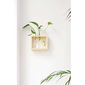 Mkono Plant Propagation Planter - Elegant Glass Tubes and Wood Stand