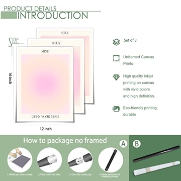 Adyggefy 3 Piece Pink Aura Spiritual Canvas Wall Art