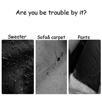 Portable Lint Remover for Clothes and Furniture Care (2 Pack)