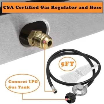 Portable RegiisCook LPG Burner - Perfect for Camping