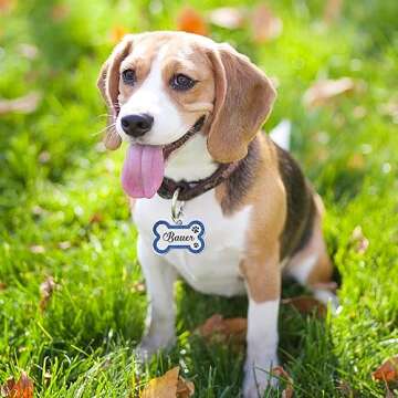 Dog Tags Personalized for Pets Dog Name Tags Personalized Dog Tag Engraved with Any Name & Text Custom Dog ID Tags Glitter Bone ID Tag for Puppy Cat (Pink S, Bone)