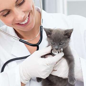 SwiftGrip Disposable Nitrile Exam Gloves, 3-mil, X-Small, Box of 100, White Nitrile Gloves Disposable Latex Free for Medical, Cleaning, Cooking & Esthetician, Food-Safe, Powder-Free, Non-Sterile