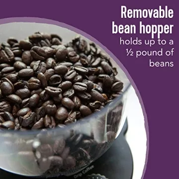 Mr. Coffee Automatic Burr Mill Grinder with 18 Custom Settings