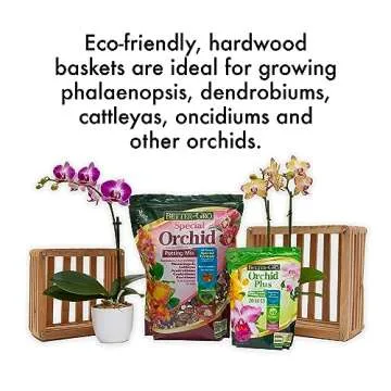 Sun Bulb Cedar Basket 8" - Handcrafted Wood Design for Decor