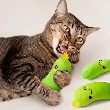 Pickle Cat Toys Set for Happy Indoor Cats