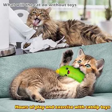 Pickle Cat Toys Set for Happy Indoor Cats