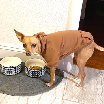 Jecikelon Hoodie for Small Pets - Warm & Stylish