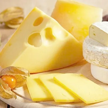 YXChome Mini Cheese Knives Set for Perfect Entertaining