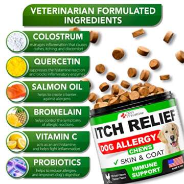 Dog Allergy Relief Chews - Dog Itch Relief Treatment - Anti Itch - Itchy Skin - Dry Skin & Hot Spots - Immune Health Supplement with Probiotics, Omega 3 Fish Oil, Colostrum - Made in USA - 120 Treats